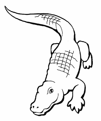 333x400 Printable Crocodile Coloring Pages Colouring For Kids