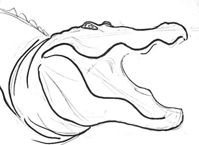 400x291 Crocodile Head Drawing 024