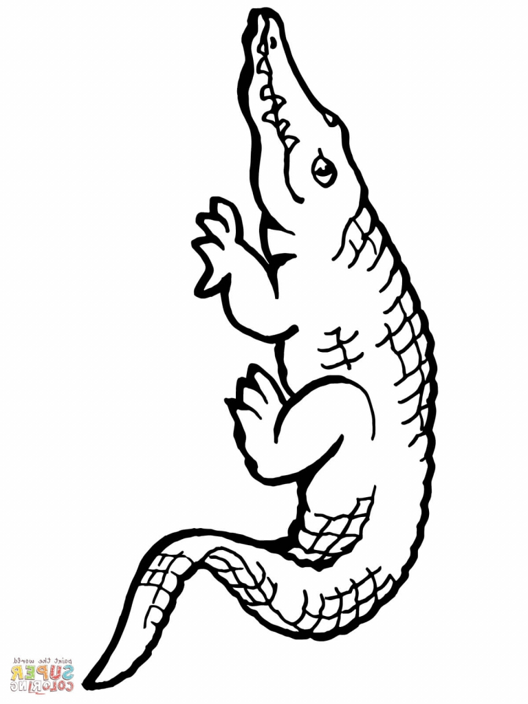 768x1024 Drawing Of An Alligator Crocodile Cartoon Alligator Line Art