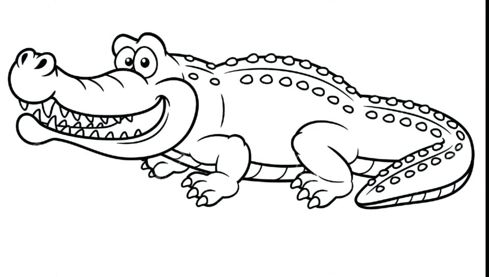 960x544 Lovely Alligator Coloring Pages And You Can Download The Here 76