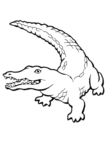 360x480 Realistic Crocodile Coloring Page Free Printable Coloring Pages