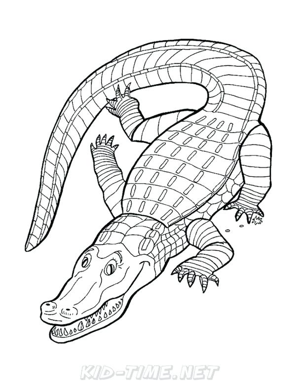 612x792 Alligator Coloring Book And Crocodile 81