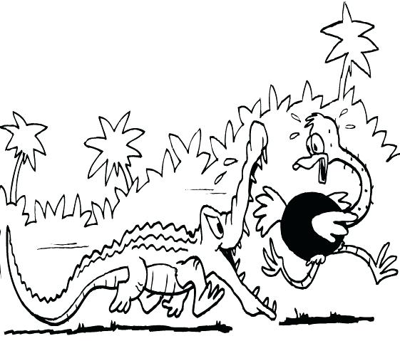 561x479 Crocodile Hunter Coloring Pages For Amusing Draw Pict Dringrames