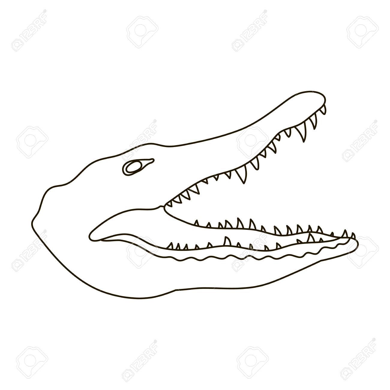 1300x1300 Crocodile Icon In Outline Style Isolated On White Background