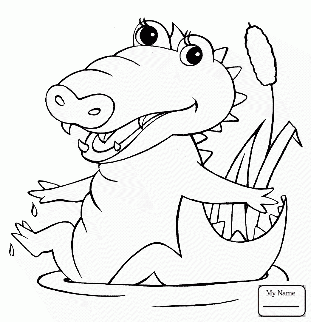 1043x1079 Crocodile Crocodile Outline Reptiles Coloring Pages For Kids