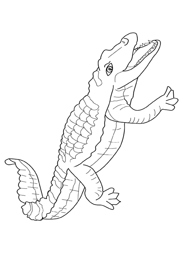 Crocodile Outline Drawing at GetDrawings | Free download