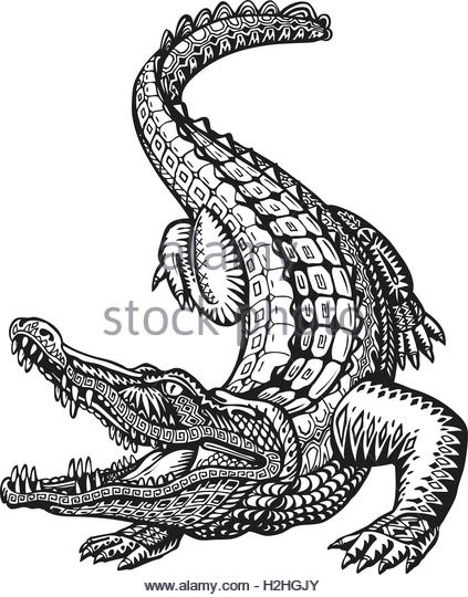 423x540 Croc Stock Vector Images