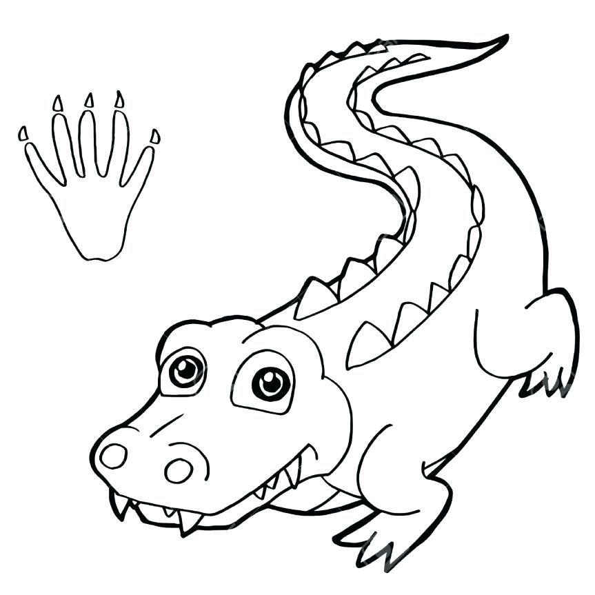 863x863 Crocodile Coloring Pages Coloring Pages Cool Crocodile Coloring