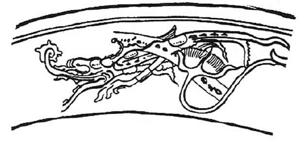 616x292 Crocodiles, Caimans And Alligators In Mayan Art Amp Mythology