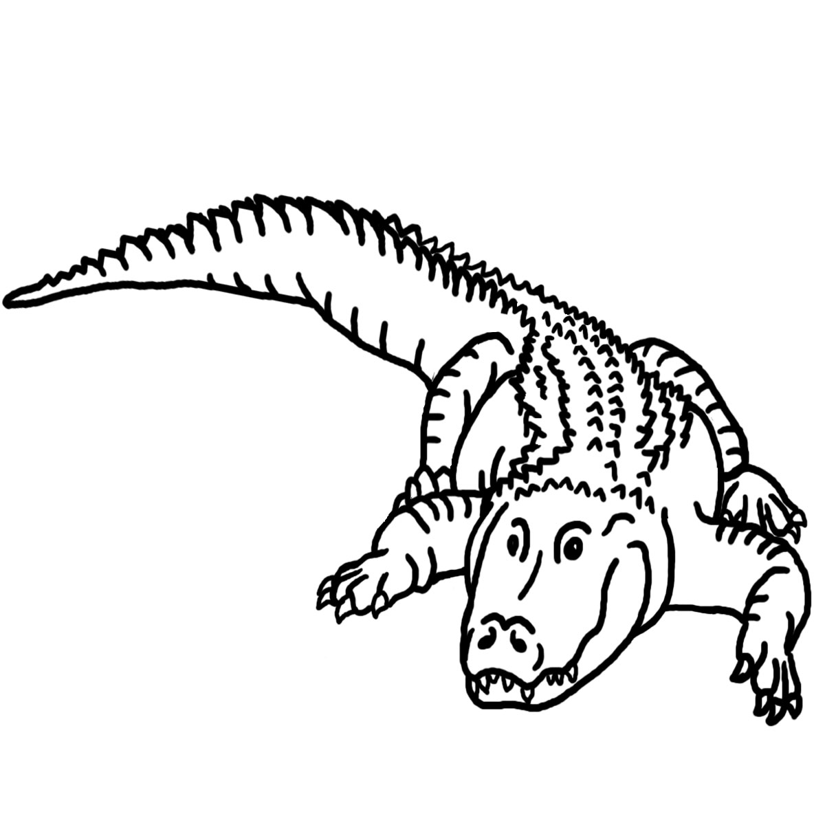 1200x1200 Drawn Artistic Crocodile Head