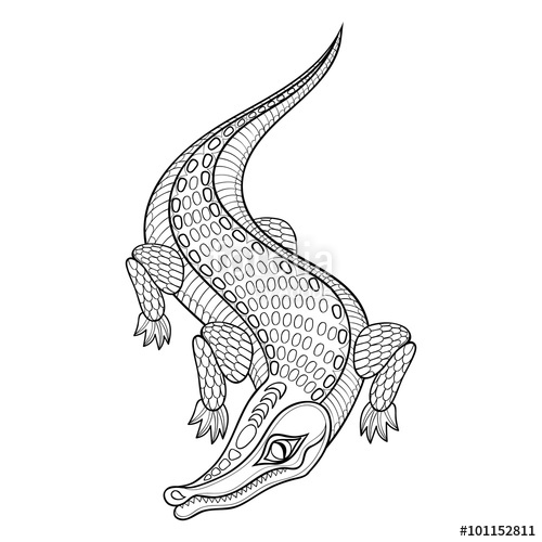 500x500 Hand Drawn Zentangled Crocodile For Adult Coloring Pages In Dood