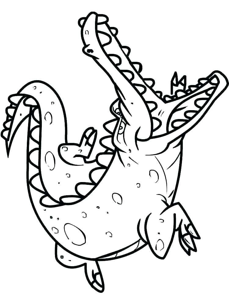 750x1000 Beautiful Crocodile Coloring Page Fee