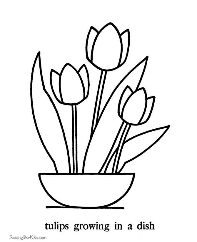 670x820 Coloring Pages Fabulous Tulip Coloring Pages Page Free Printable