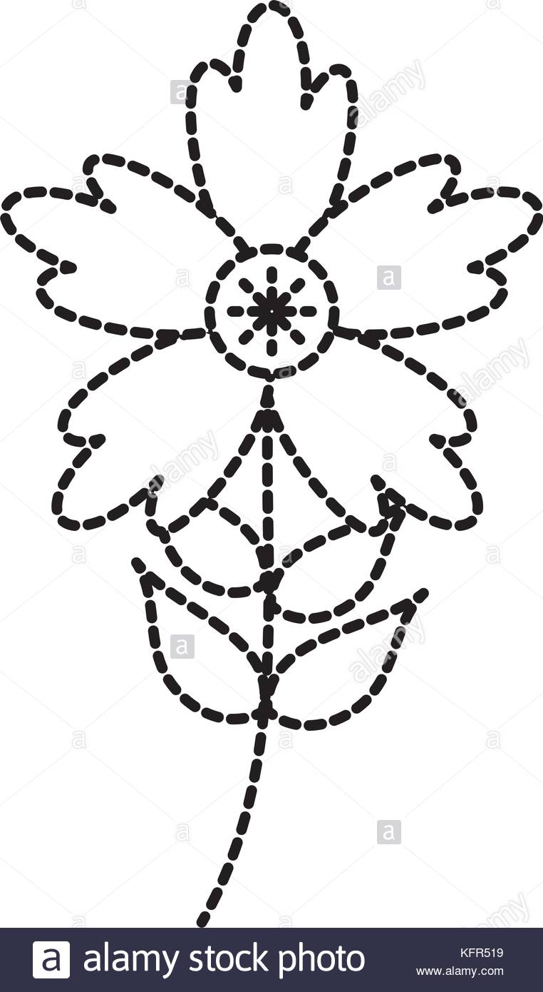 762x1390 Crocus Black And White Stock Photos Amp Images