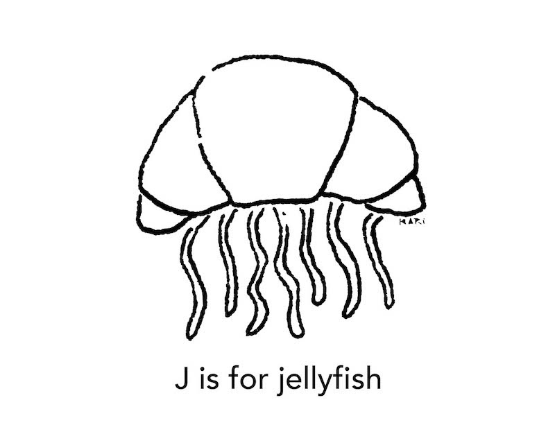 800x639 The Croissant Alphabet Illustration On Behance