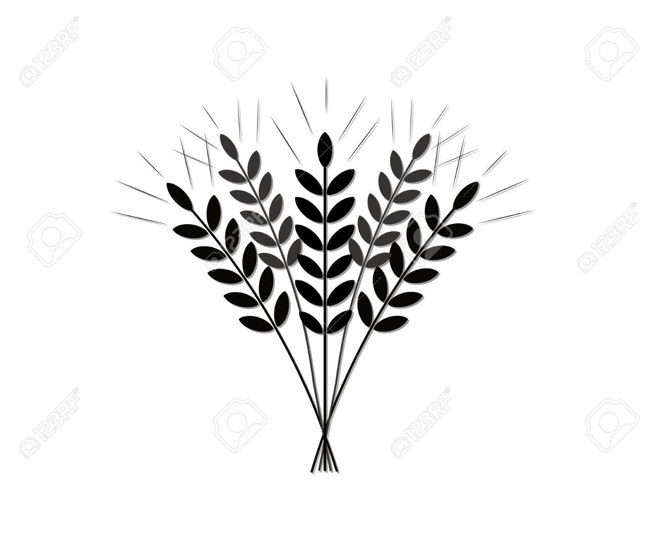 1300x1083 Silhouette (Icon) Of The Crop Of Agriculture (Grain Of Wheat