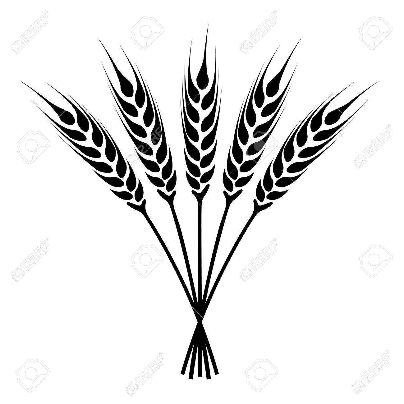 1300x1300 Silhouette Ears Of Wheat Icon. Crop Symbol Isolated On White