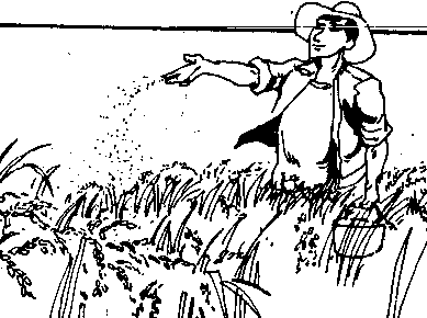 389x290 Water Managementcropping Patterns