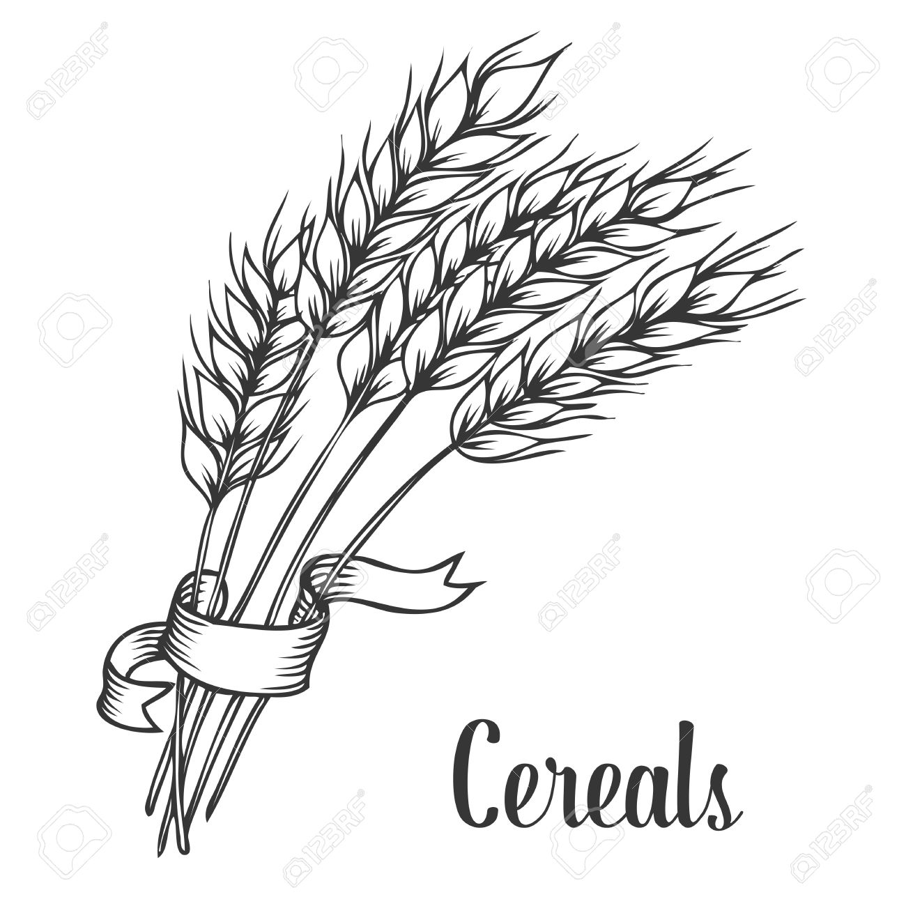 1300x1300 Wheat Bread Ears Cereal Crop With Ribbon Sketch Decorative Icons