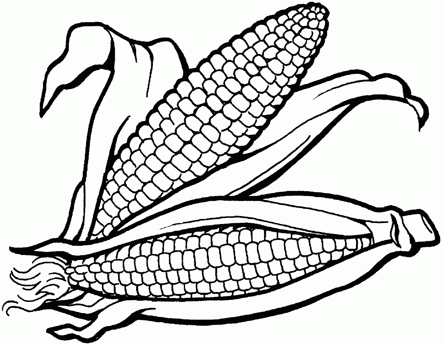 1500x1169 Corn Stalk Drawing Corn Crops Drawing Viewing, Corn Plant Clip Art