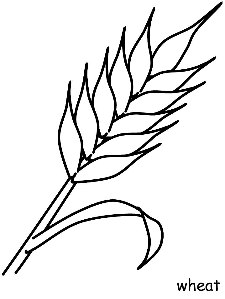 718x957 Spray Crops Coloring Page Wheat Coloring Pages