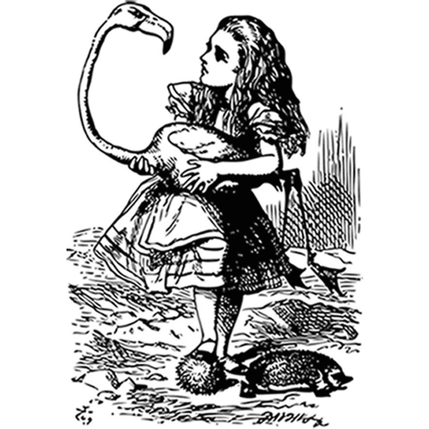 884x884 Alice In Wonderland