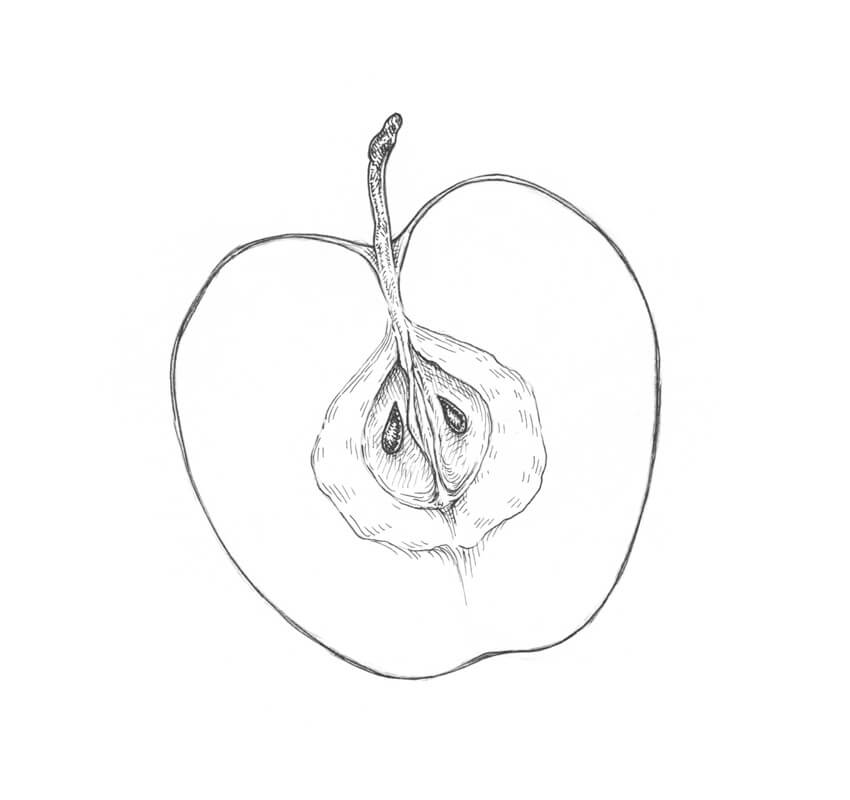 850x800 How To Draw An Apple