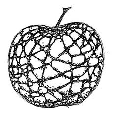 236x236 Art 1. Textured Apples. Art Education Essentials