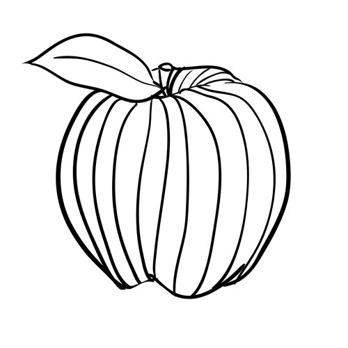 500x500 4th Grade Contour Line