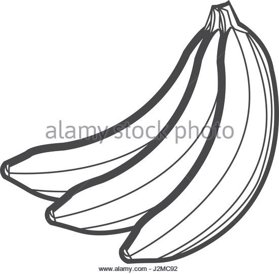 550x540 Tropical Fruit Salad Stock Vector Images