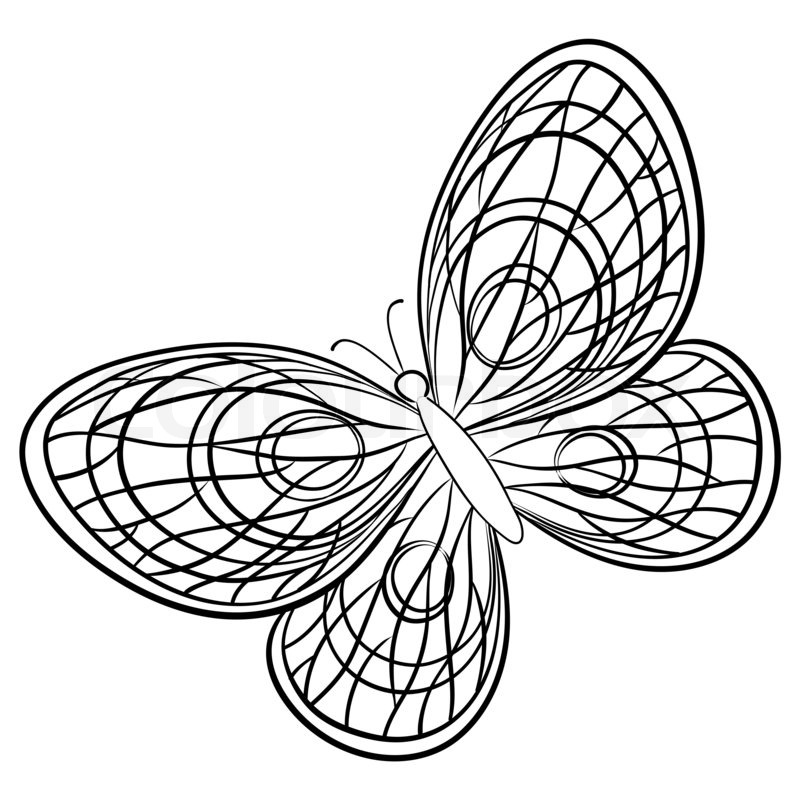 800x800 Butterfly, Hand Draw Monochrome Contours On A White Background