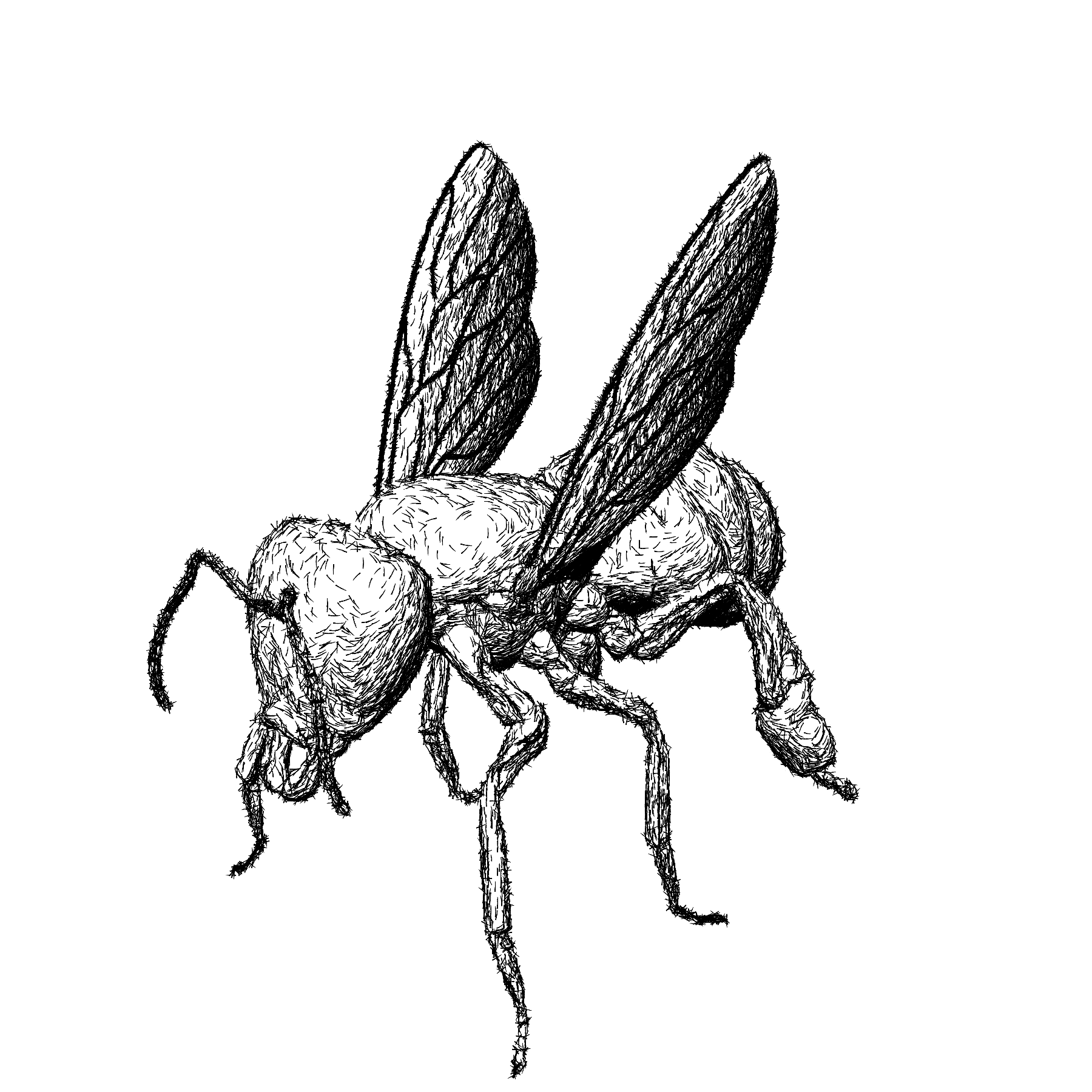 1800x1800 Beehatch.png