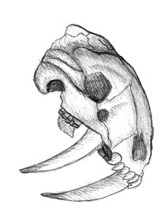 236x305 A Quick Sketch With Minimal Cross Hatching To Show Tone. My Focus