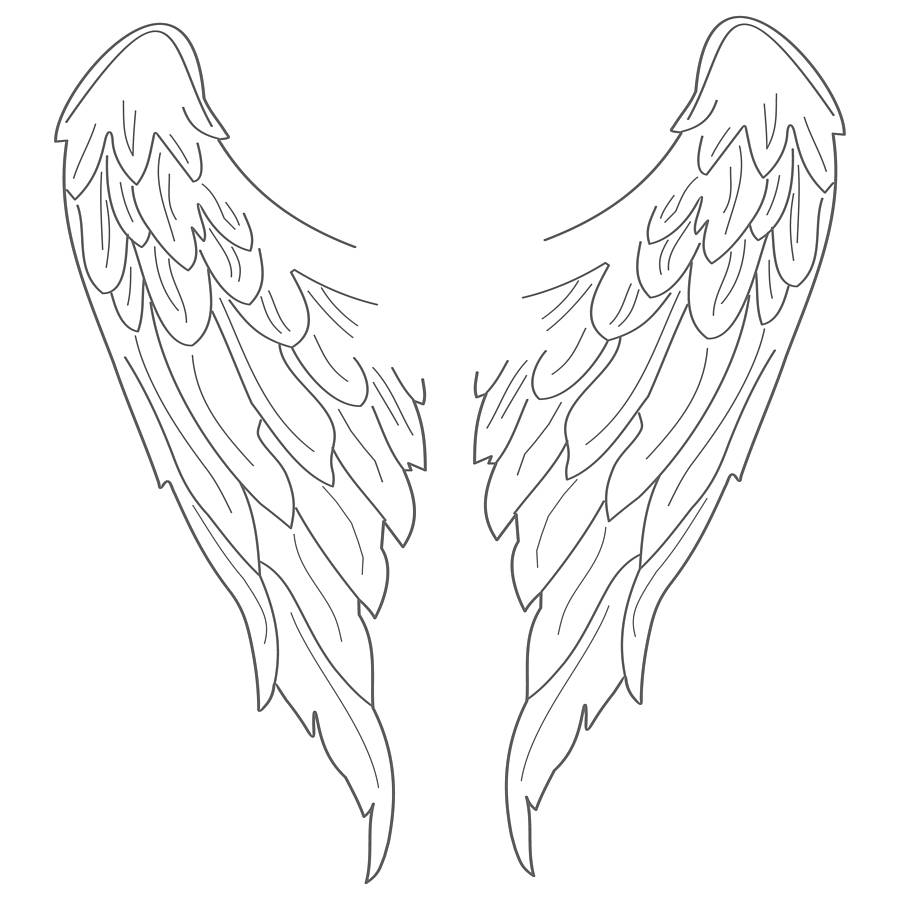 900x900 Wings Clipart Line Drawing