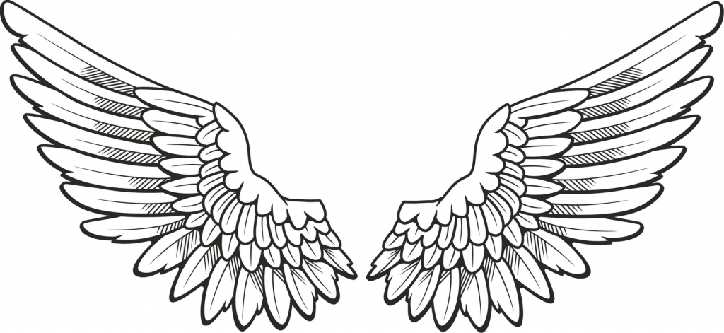 1024x471 Pictures Drawings Of Angel Wings,