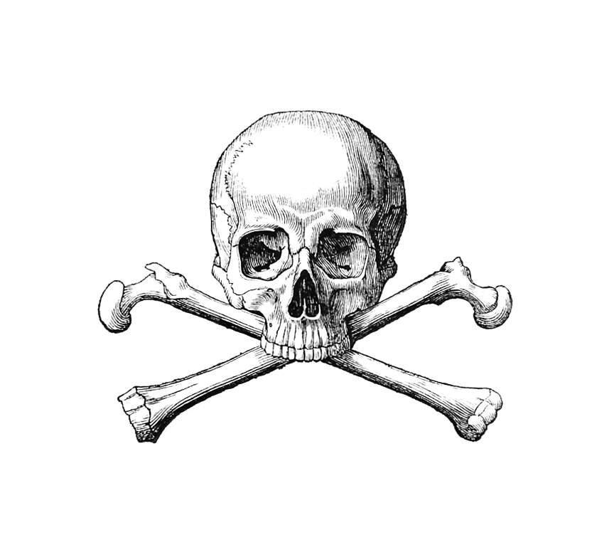 864x762 Skull And Crossbones Old Book Illustrations