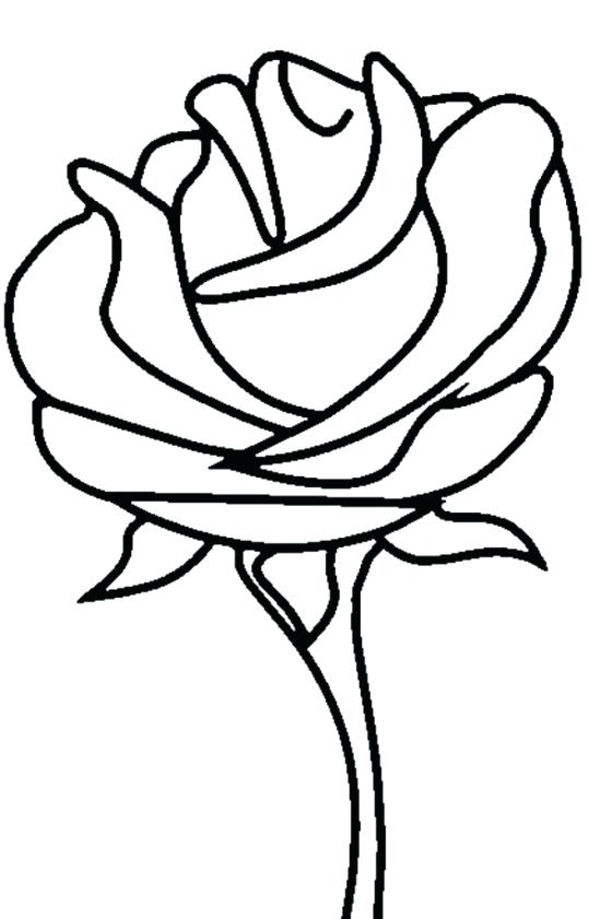 550x841 Coloring Pages Rose Rose Color Pages Coloring Pages Of Roses