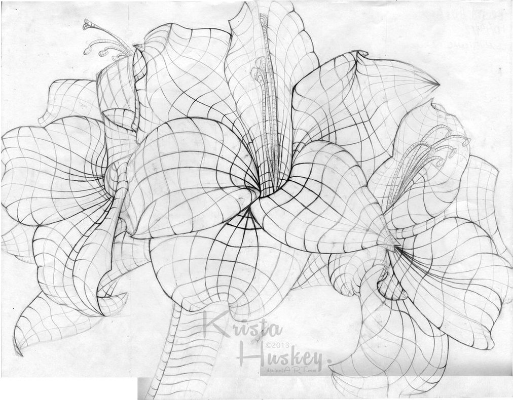 1012x790 Cross Contour Flower By Kristahuskey