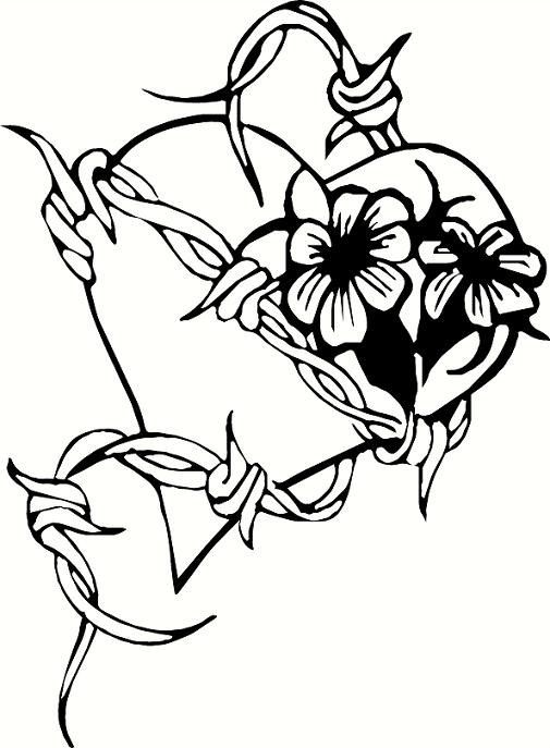 505x687 Drawn Cross Barb Wire