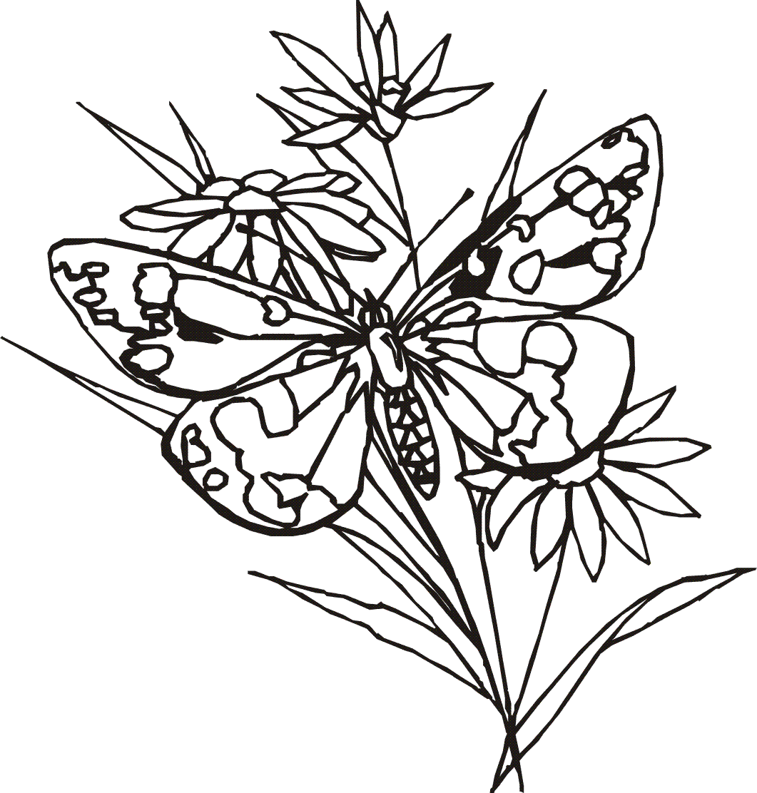 1061x1112 Line Drawing Of Flowers Clipart