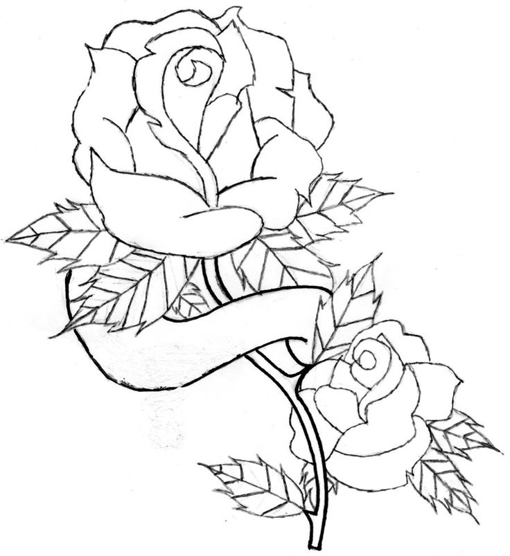 736x803 Collection Of Rose And Banner Tattoos Sketch