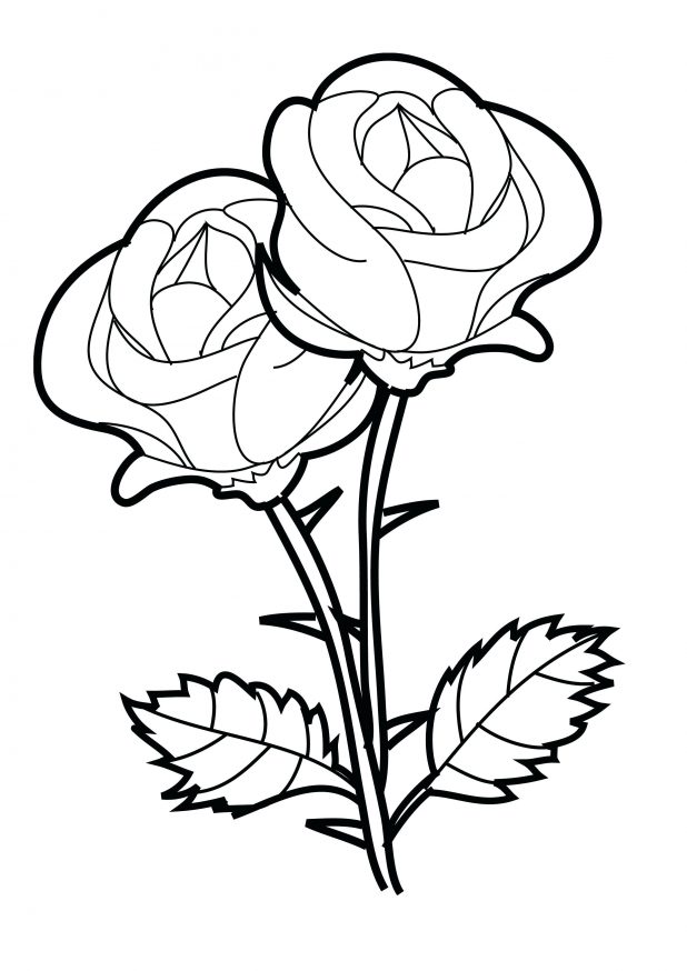 618x874 Coloring Pages Coloring Pages Of Rose Compass Print Page Free