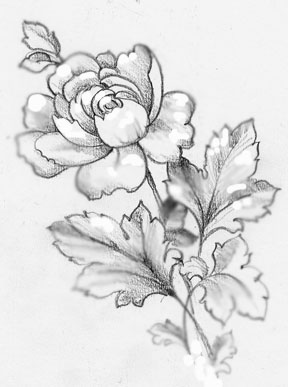 288x387 Drawings Of Roses In Pencil