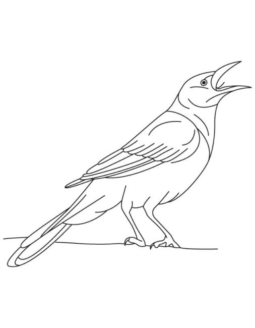 506x650 Crow Coloring Pages 5 Nice Coloring Pages For Kids