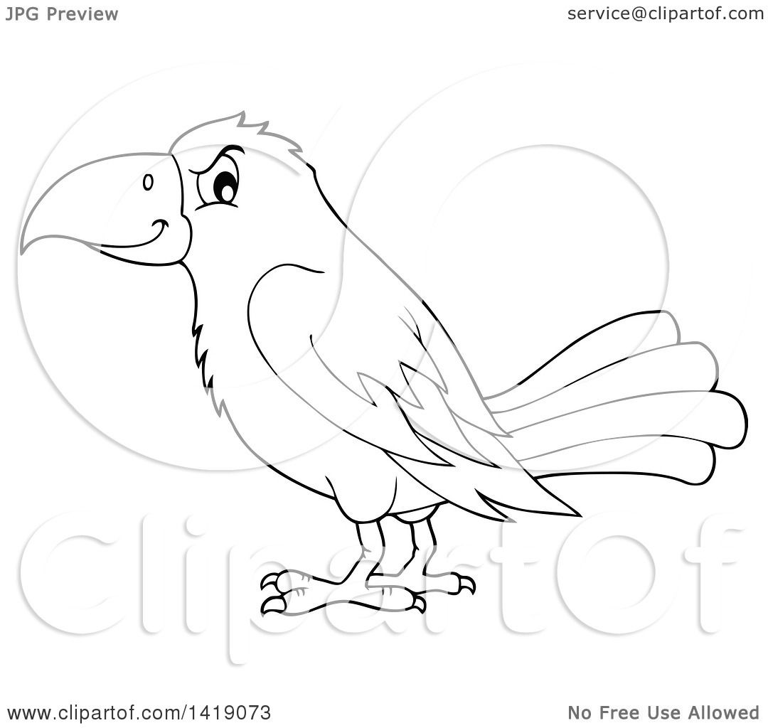 1080x1024 Clipart Of A Black And White Lineart Crow Bird In Profile