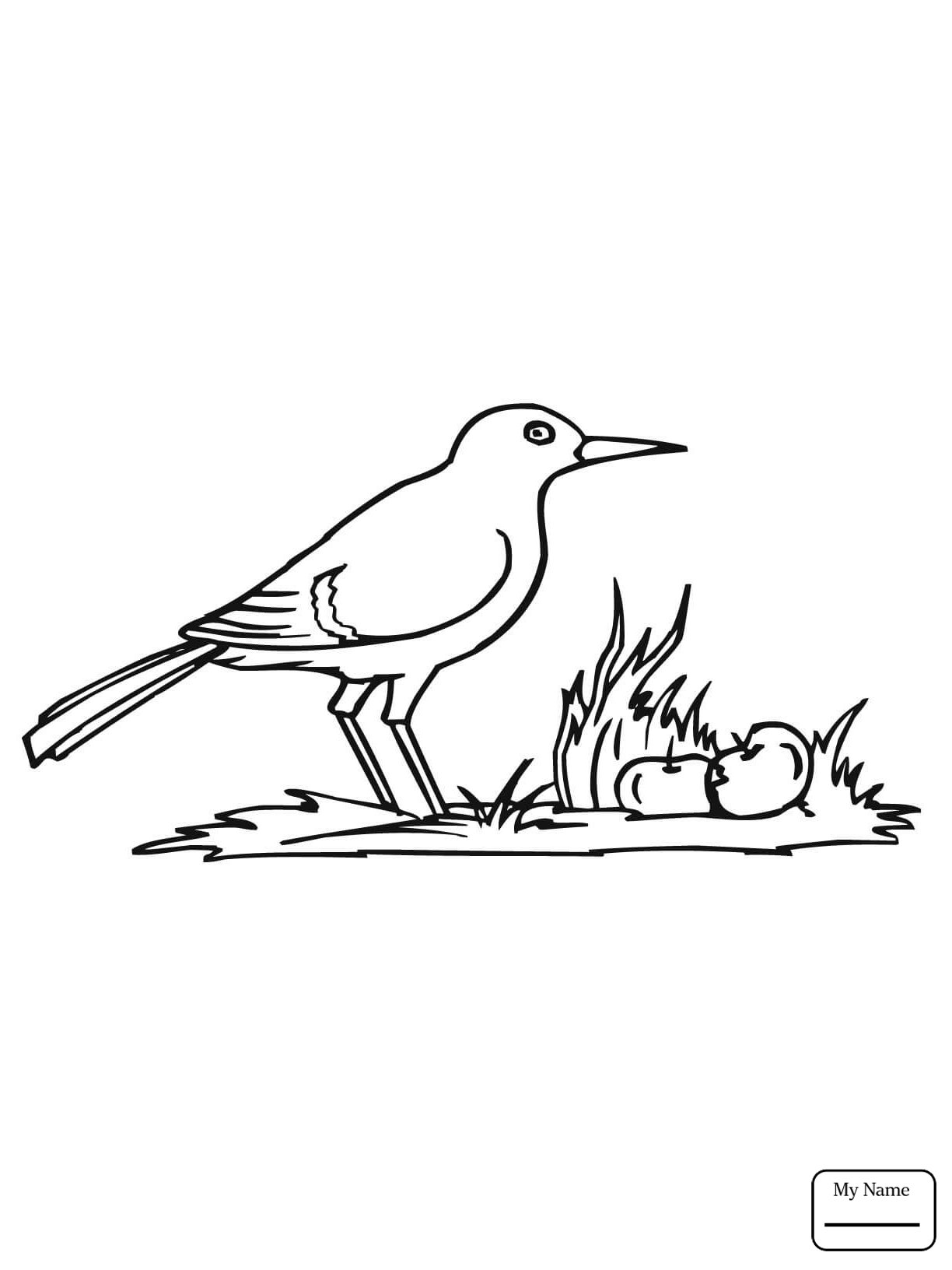 1224x1632 Coloring Pages For Kids Birds American Crow Crows