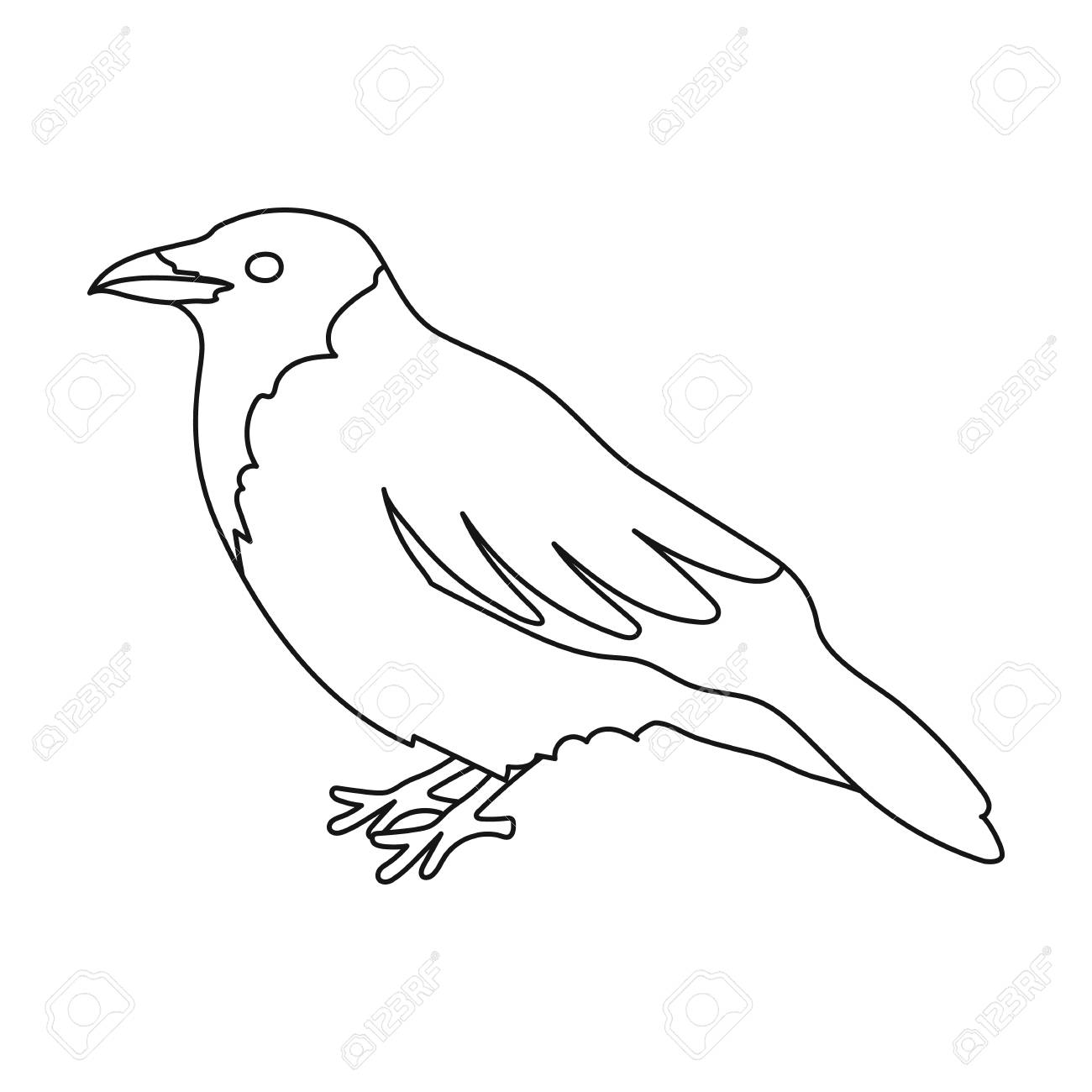 1300x1300 Crow Icon In Outline Style Isolated On White Background. Bird
