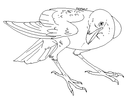 456x361 Free Ravencrow Lineart By Kipine