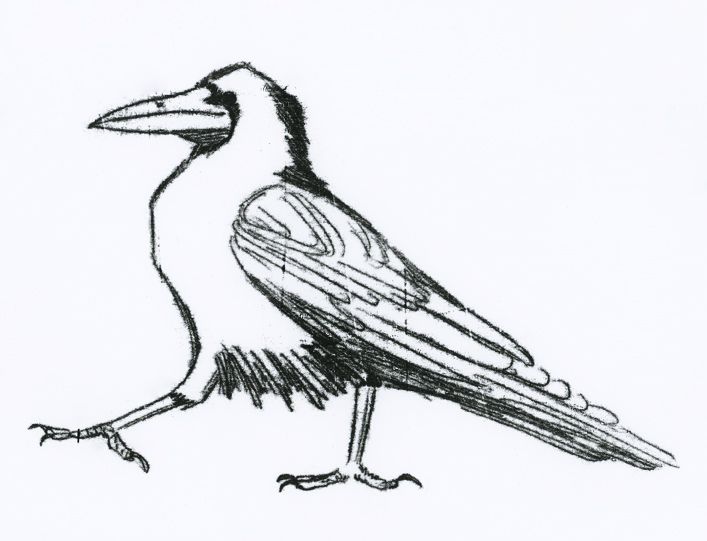 707x541 8 Best Drawings Images On Drawings In Pencil, Graphite