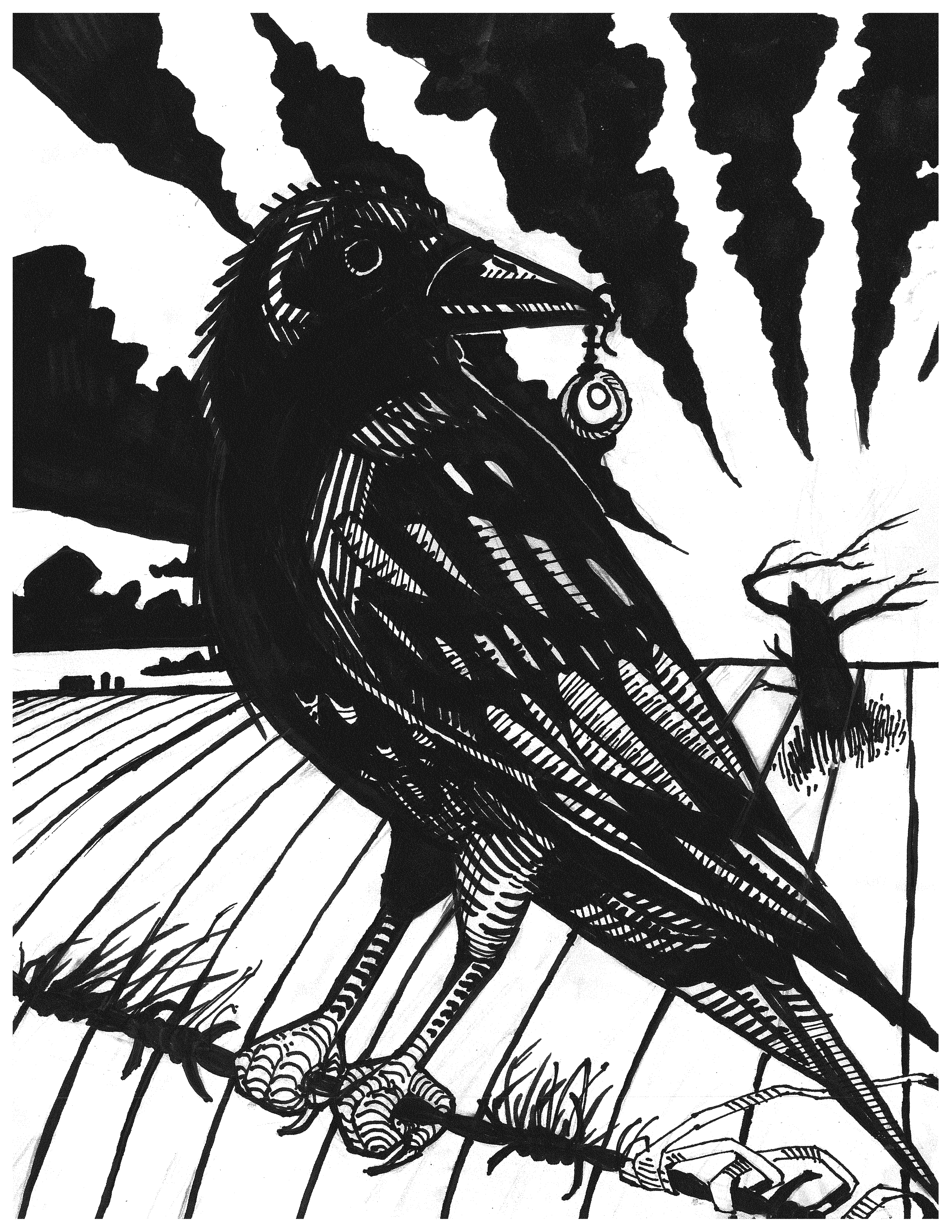 5100x6600 Crow With A Pearl Earring, Sharpie On Paper [Oc] Drawing